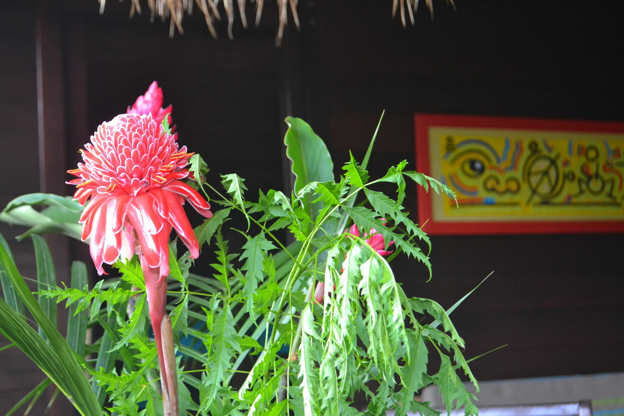 Piton Bungalows Ecolodges Deshaies Kültér fotó