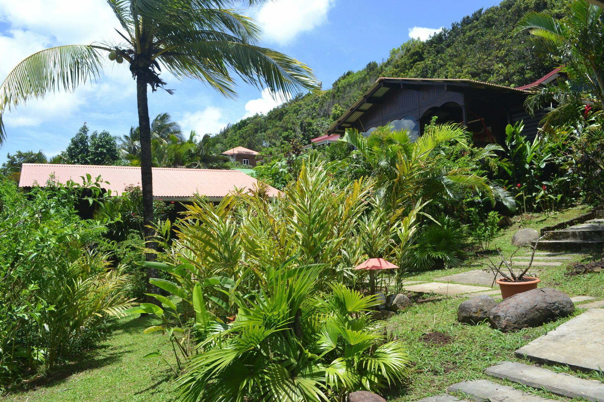Piton Bungalows Ecolodges Deshaies Kültér fotó