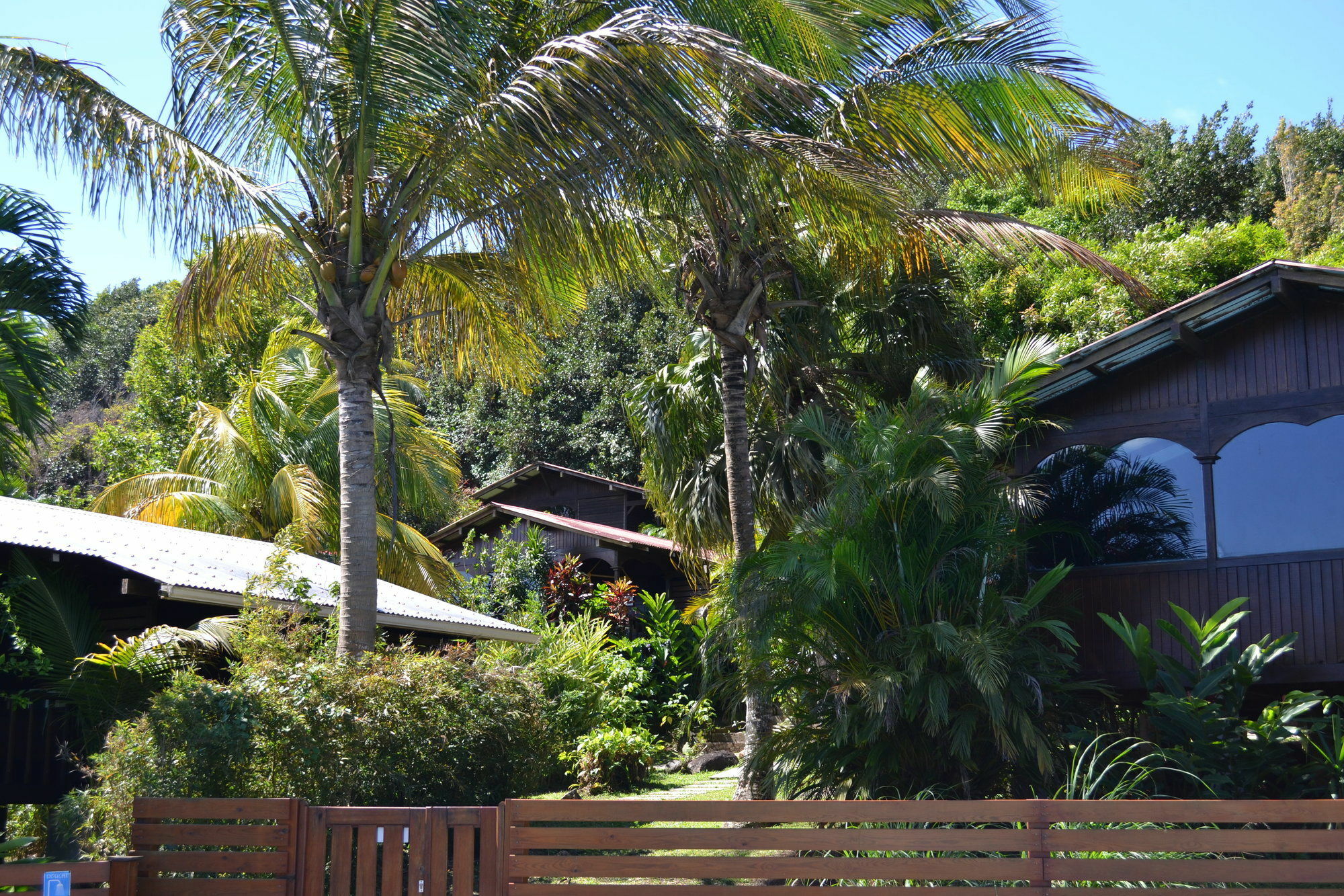 Piton Bungalows Ecolodges Deshaies Kültér fotó